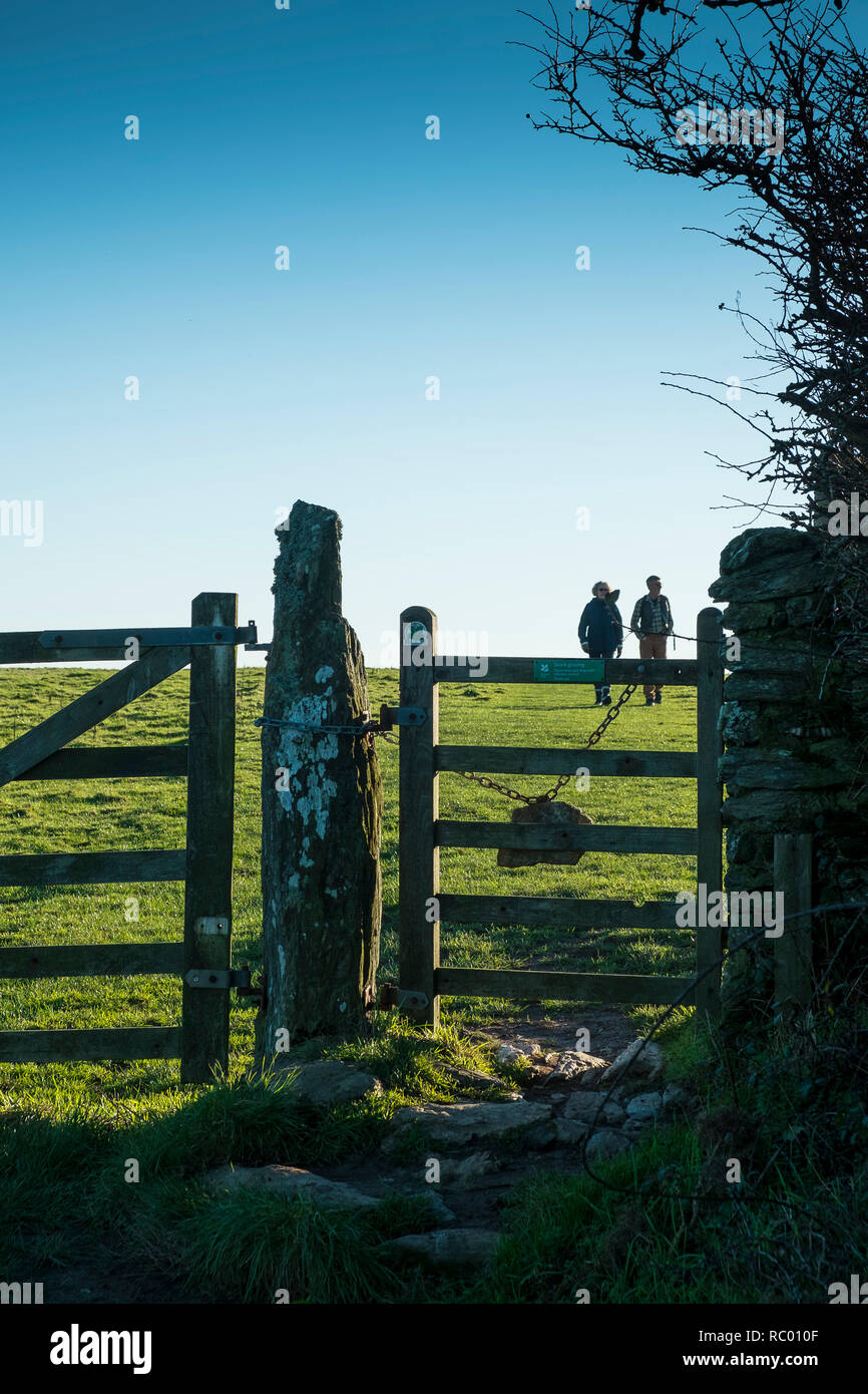 Walkers approaching a farm gate. East Soar, South Hams. Devon. UK Stock Photo