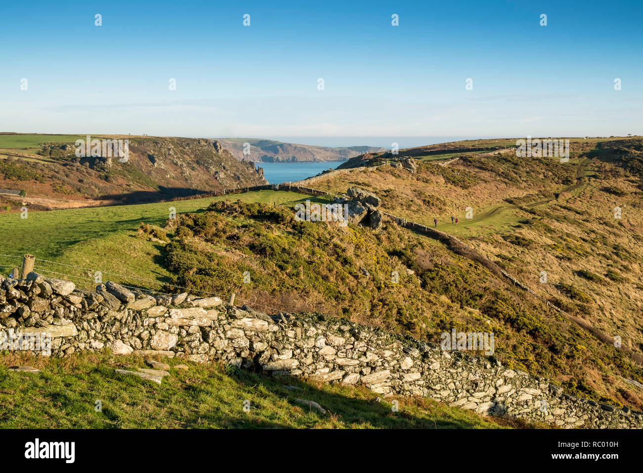 Rocky pasture divided with traditional dry stone walls. Bolt Head, Salcombe, South Hams. Devon. UK Stock Photo