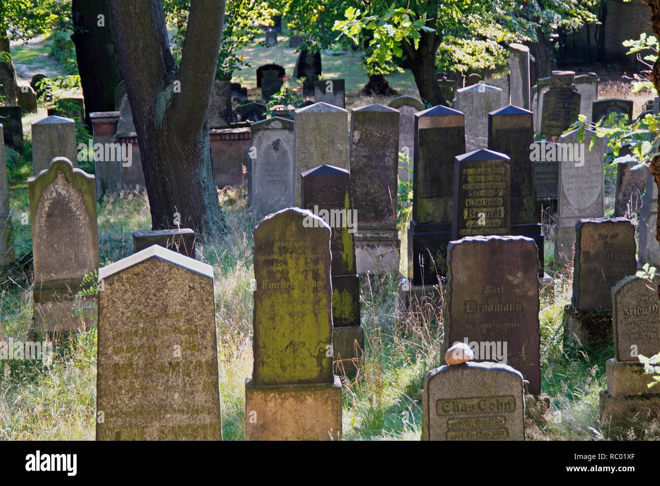 Jüdischer Friedhof, Potsdam, jewish cemetra Stock Photo