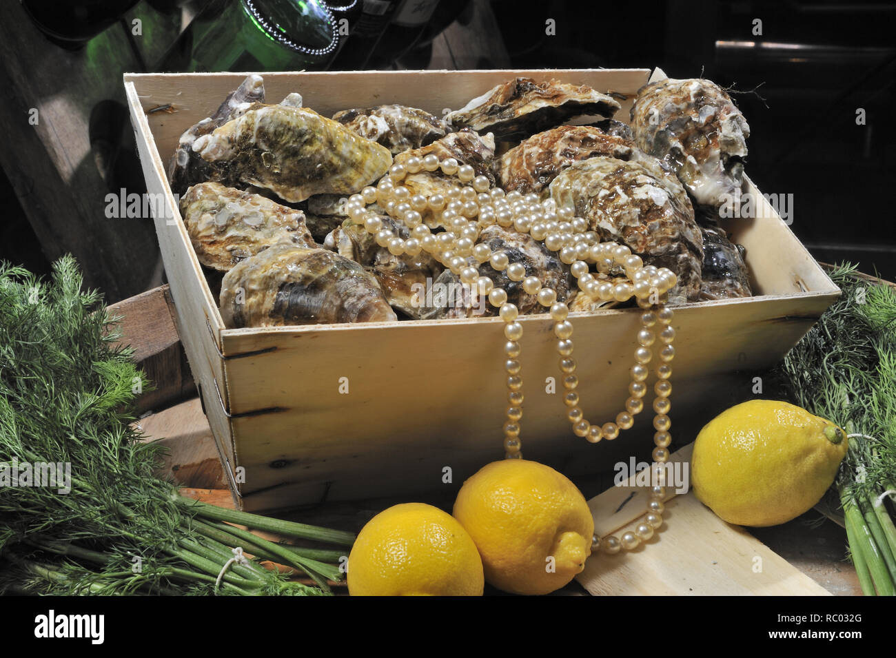 frische Austern Stock Photo