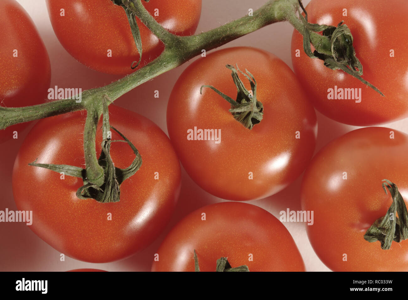 Frische Tomaten | Fresh tomatoes Stock Photo