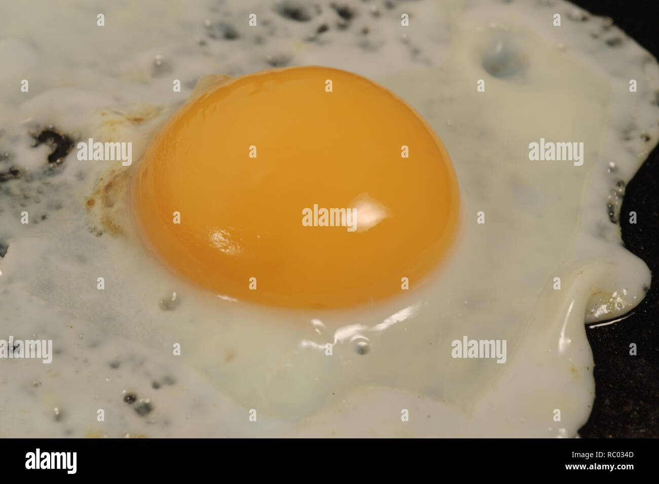 Ei, Pfanne, braten | Egg, pan, roast Stock Photo