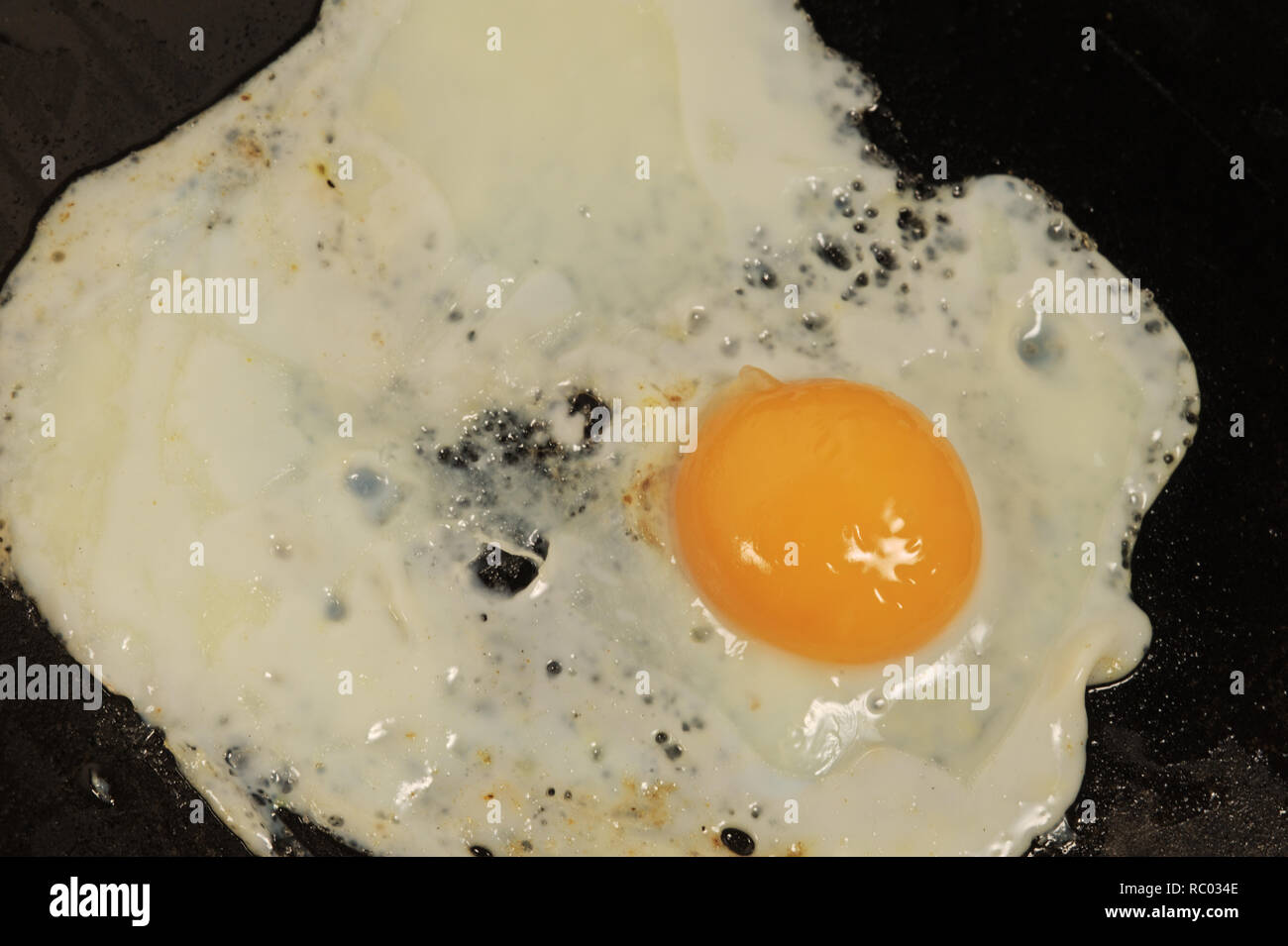 Ei, Pfanne, braten | Egg, pan, roast Stock Photo