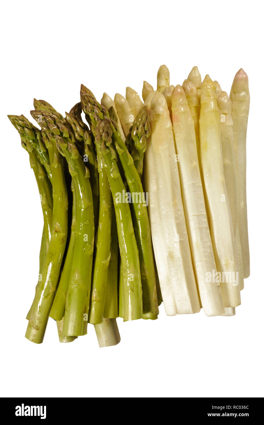 grüner und weißer Stangenspargel | green and white Asparagus Stock Photo