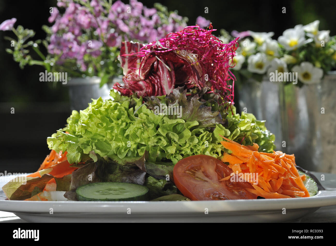 frischer bunter Frühjahrssalat | fresh colourfull salad Stock Photo