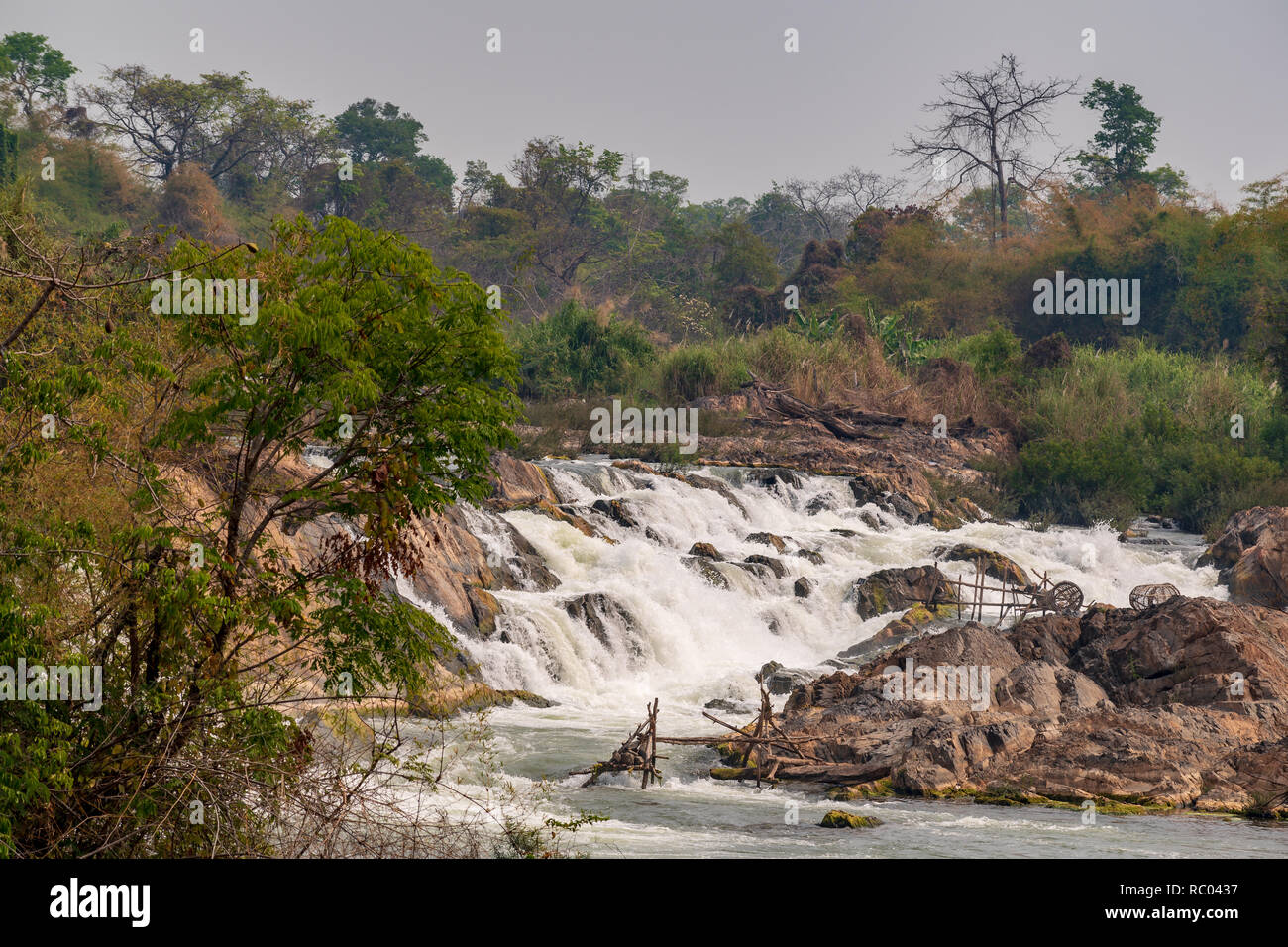 Li Phi Falls, Mekong Waterfalls complex, Laos Stock Photo
