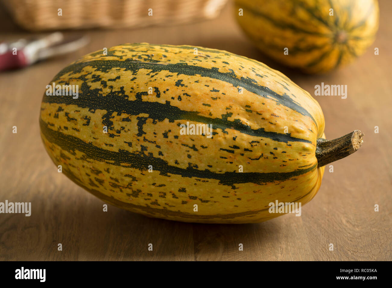 Fresh whole green and yellow striped spaghetti squash Stock Photo