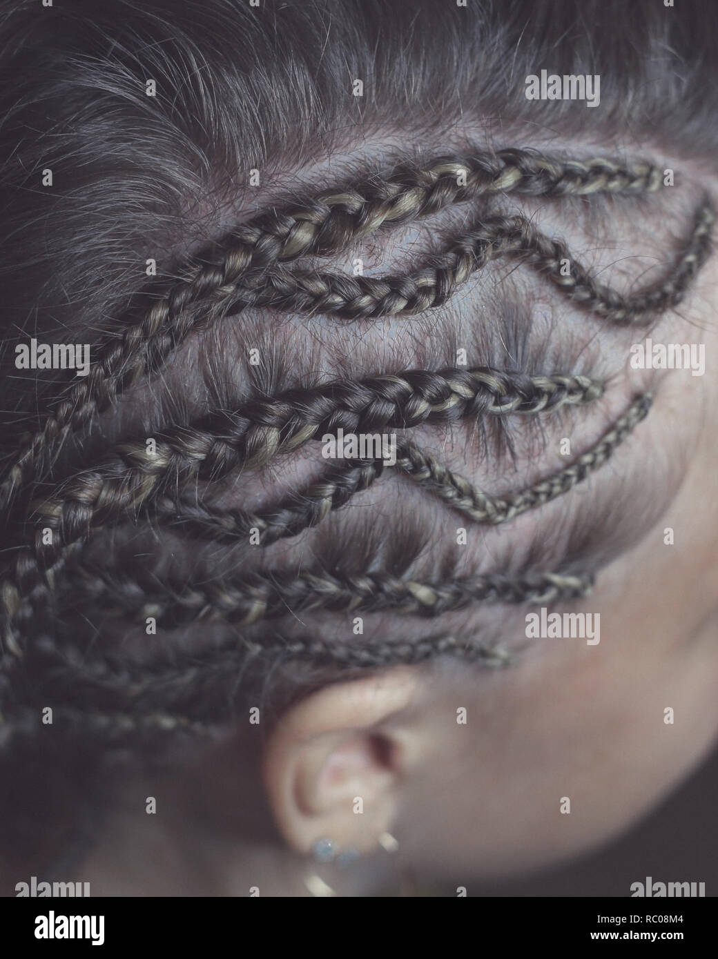 braids on the temple Stock Photo