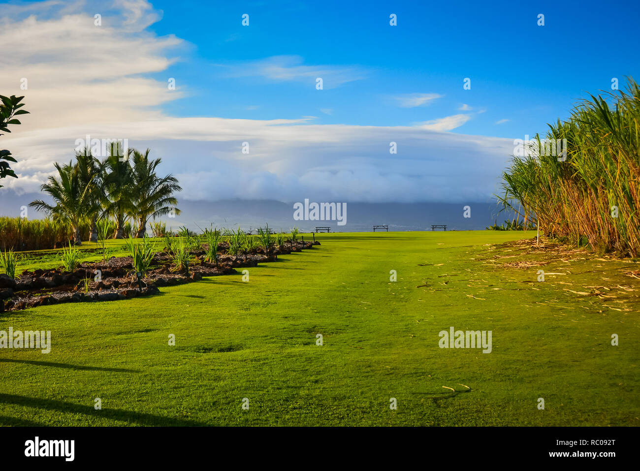 Organic Vodka distillery in Island of Maui, Hawaiian Islands Stock