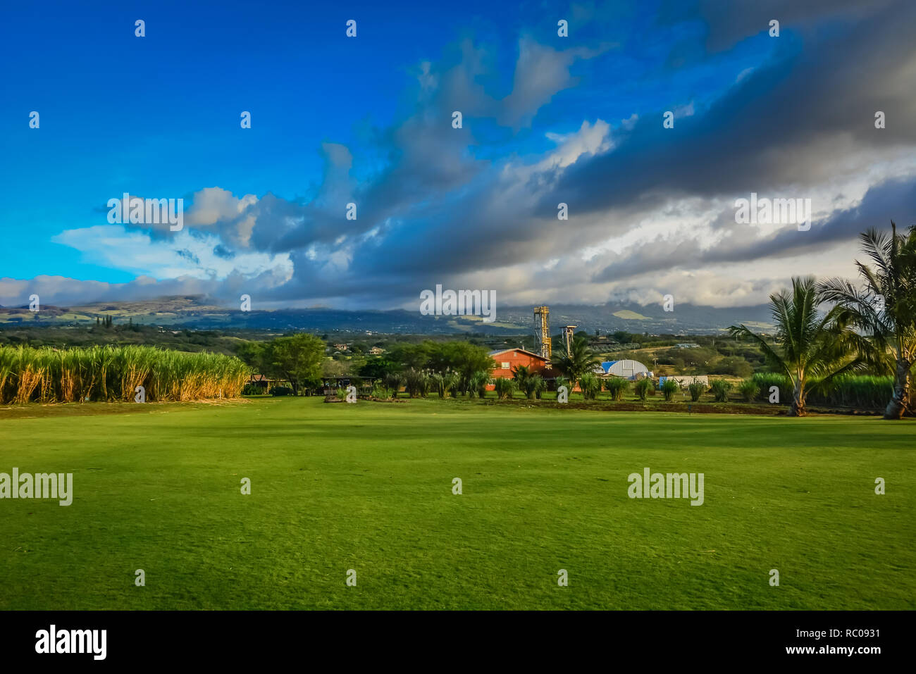 Organic Vodka distillery in Island of Maui, Hawaiian Islands Stock