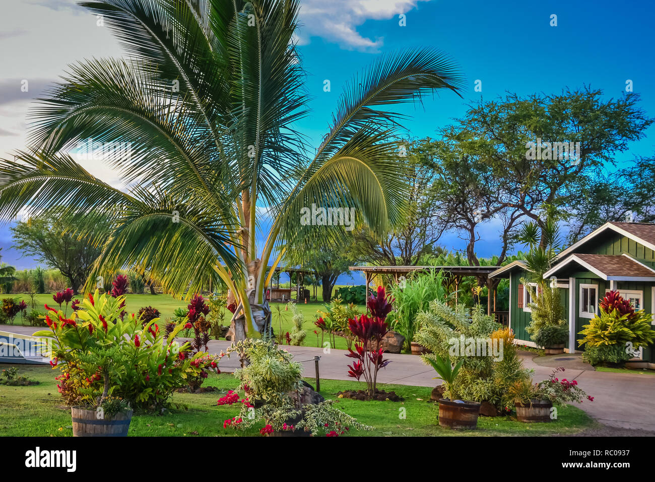 Organic Vodka distillery in Island of Maui, Hawaiian Islands Stock