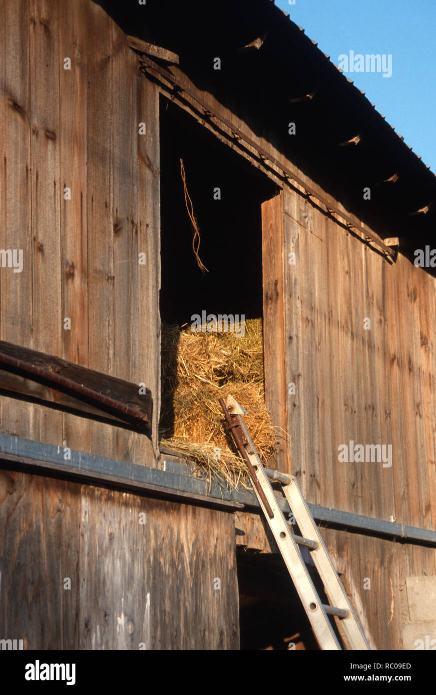 Looking up into a barn's hayloft, USA Stock Photo