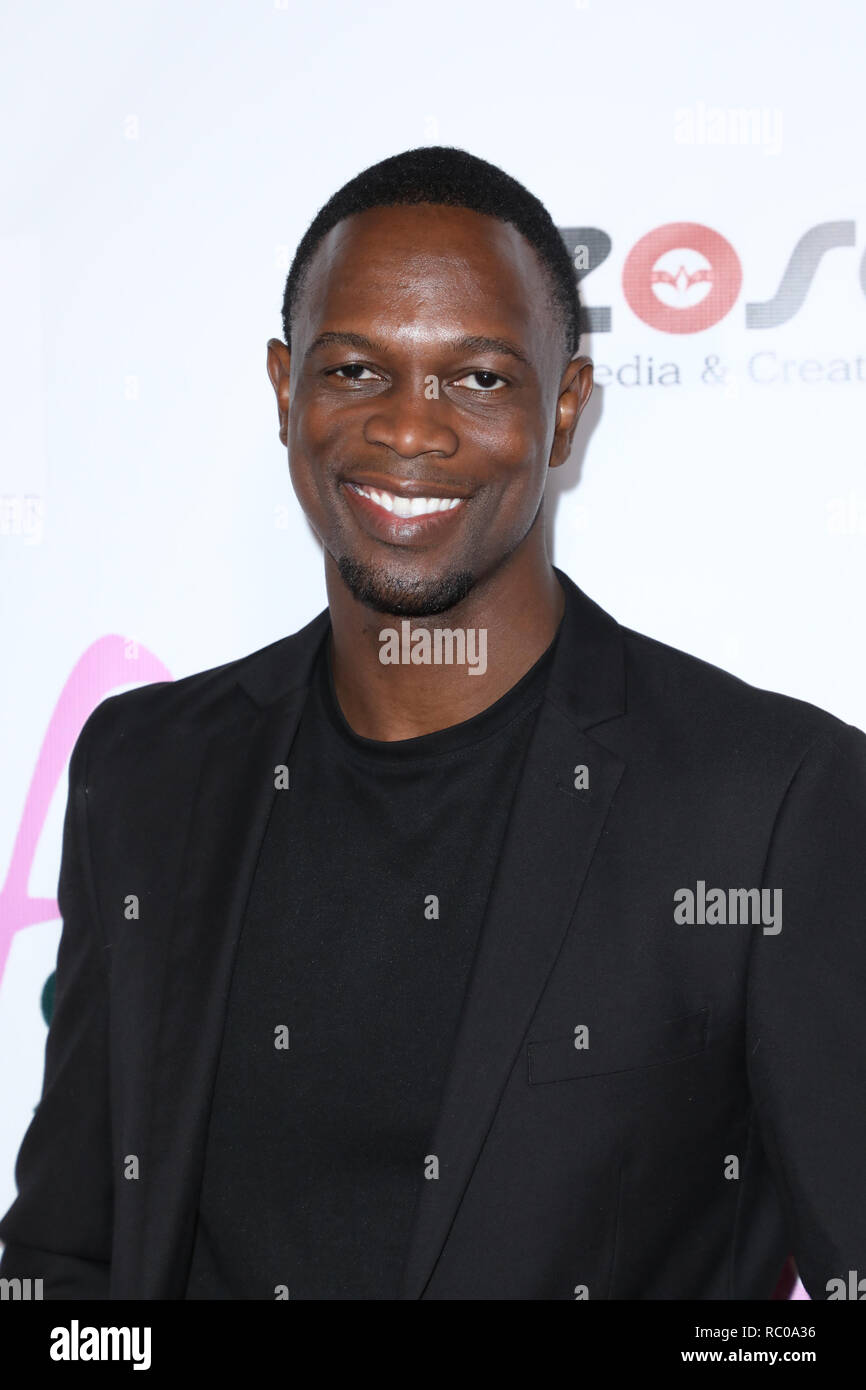 11th Annual International Fashion Supermodel Grand Finale Dinner