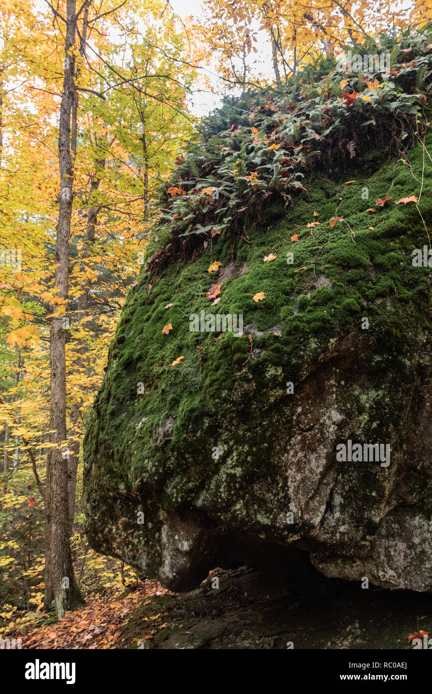 Huge glacial rocks and autumn foliage on the Algonquin Park trail Stock Photo