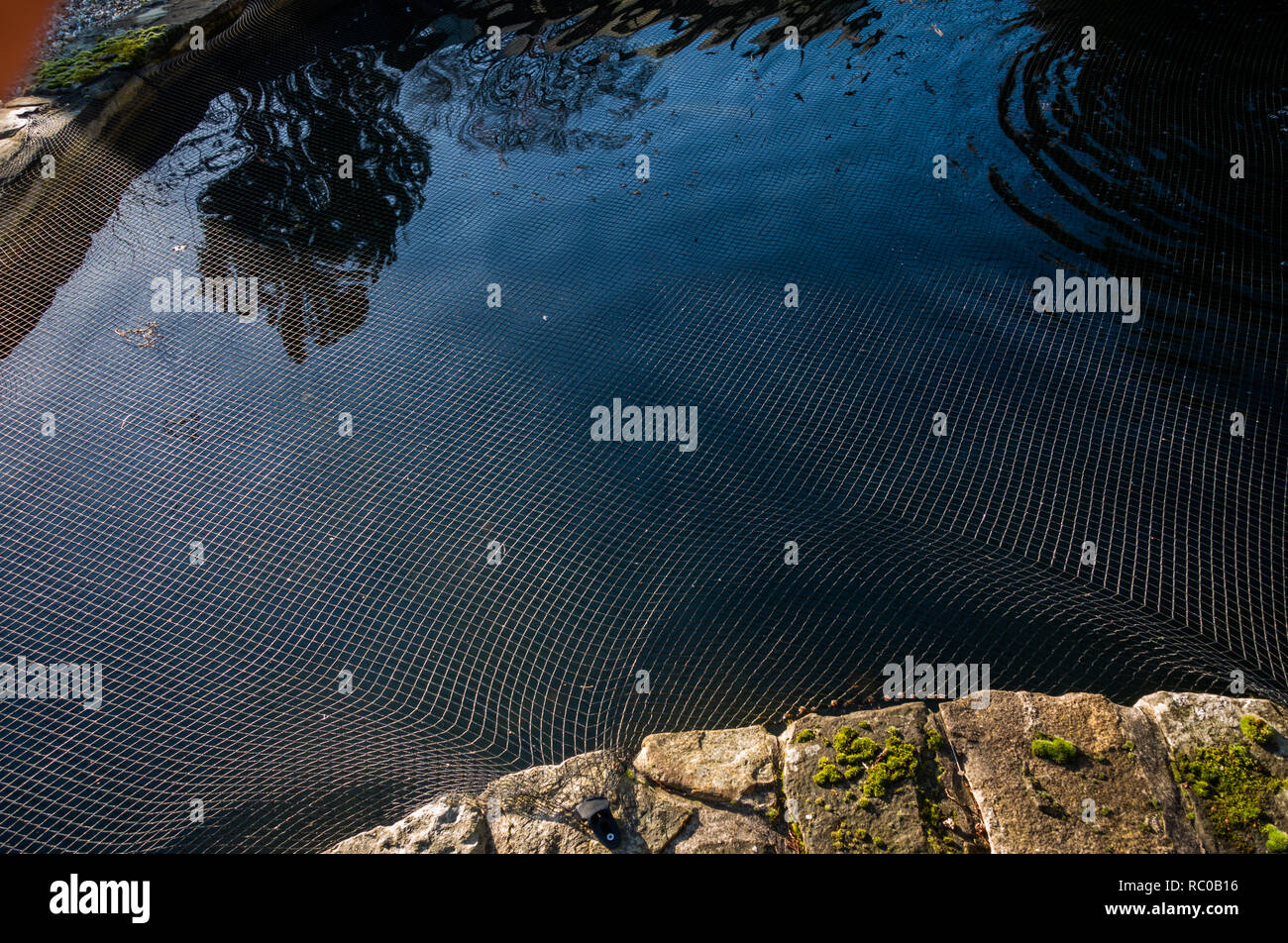 Netting garden pond hi-res stock photography and images - Alamy