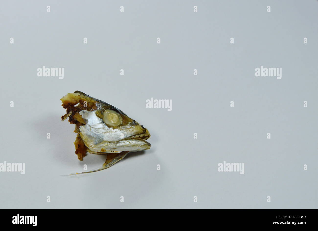 mackerel head left over eat on white background Stock Photo Alamy