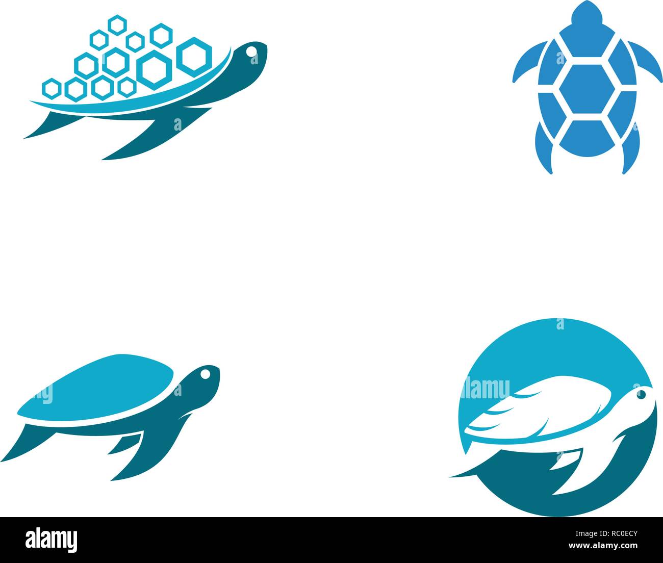 Turtle animal cartoon icon vector illustration Stock Vector