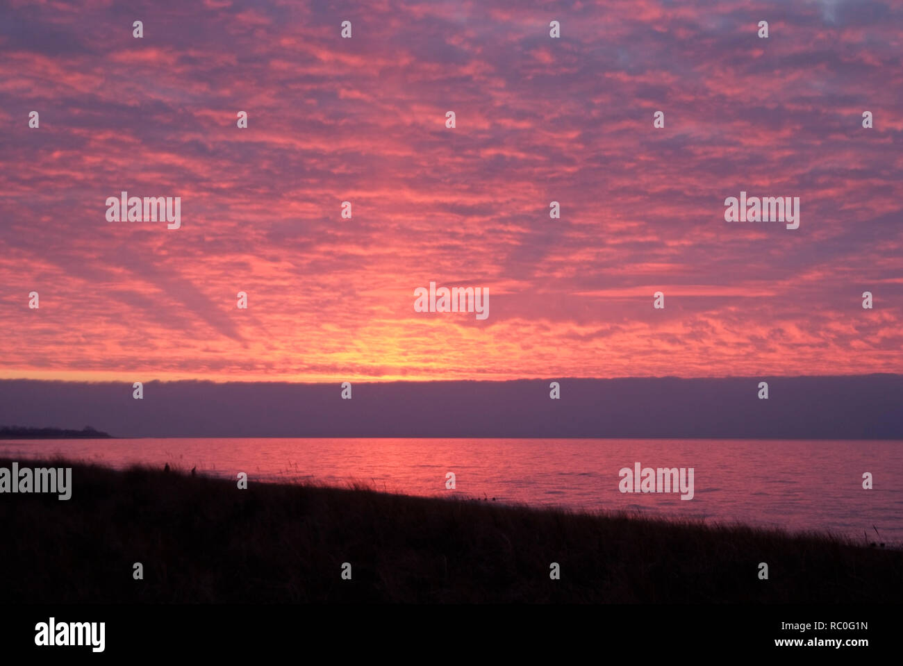 Ostsee, Darß Stock Photo