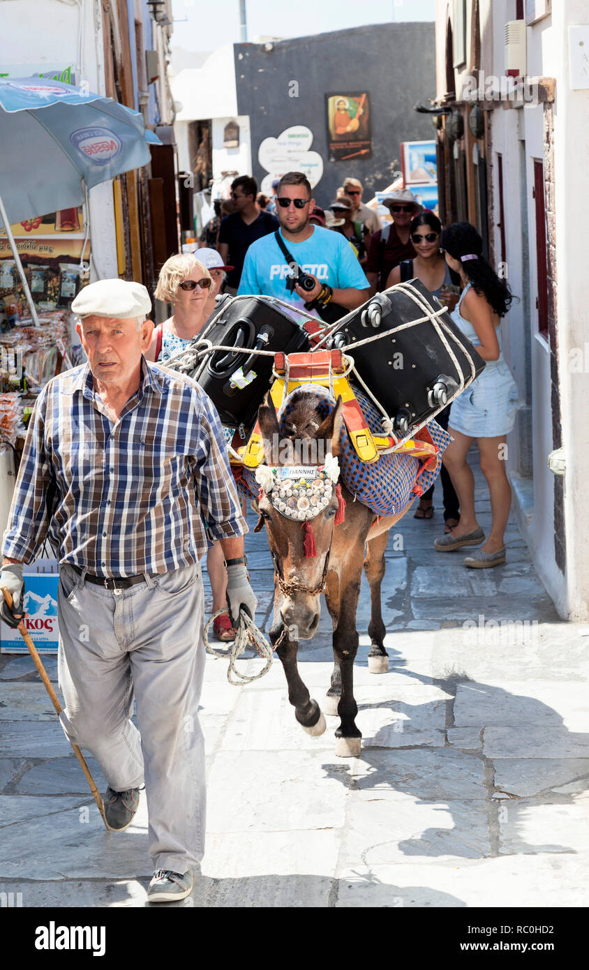 Luggage carried on a donkey in Santorini Stock Photo