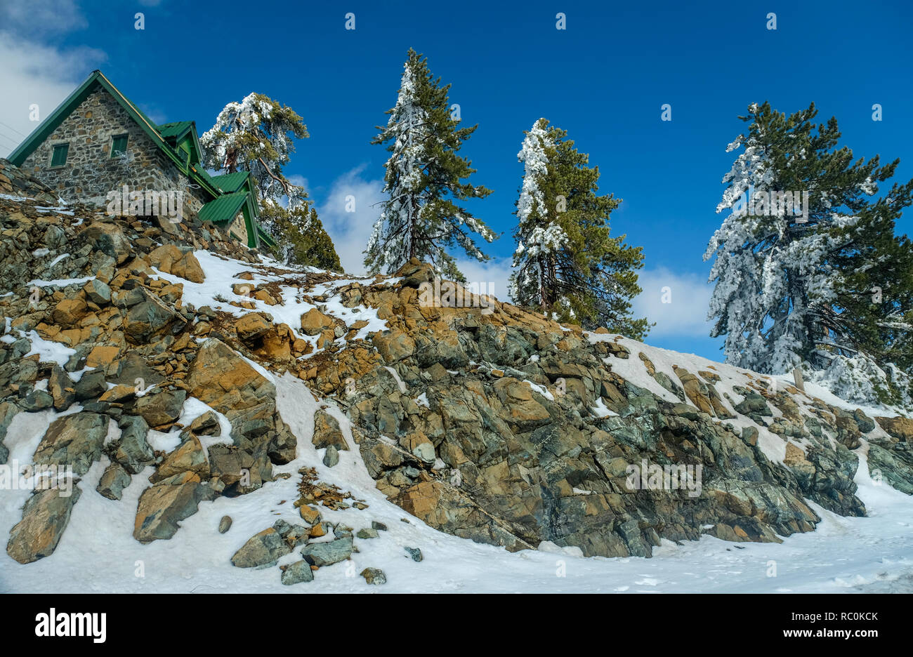Alpine scene on the slopes of Mount Olympus in the Troodos Mountains, Cyprus. Stock Photo