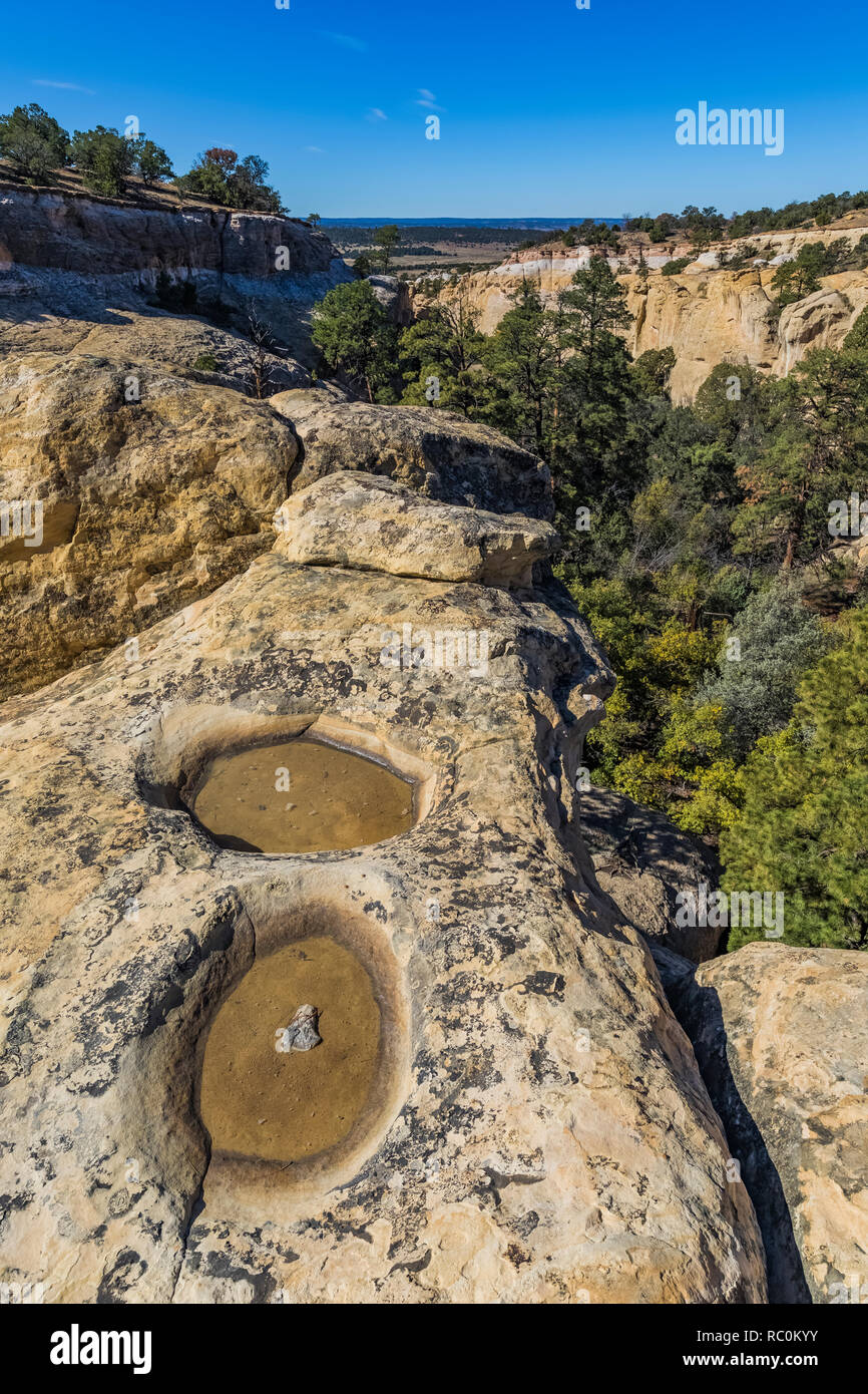 Tinajas fill with water when it rains, providing a source of water for wildlife along the Mesa Top Trail in El Morro National Monument, New Mexico, US Stock Photo