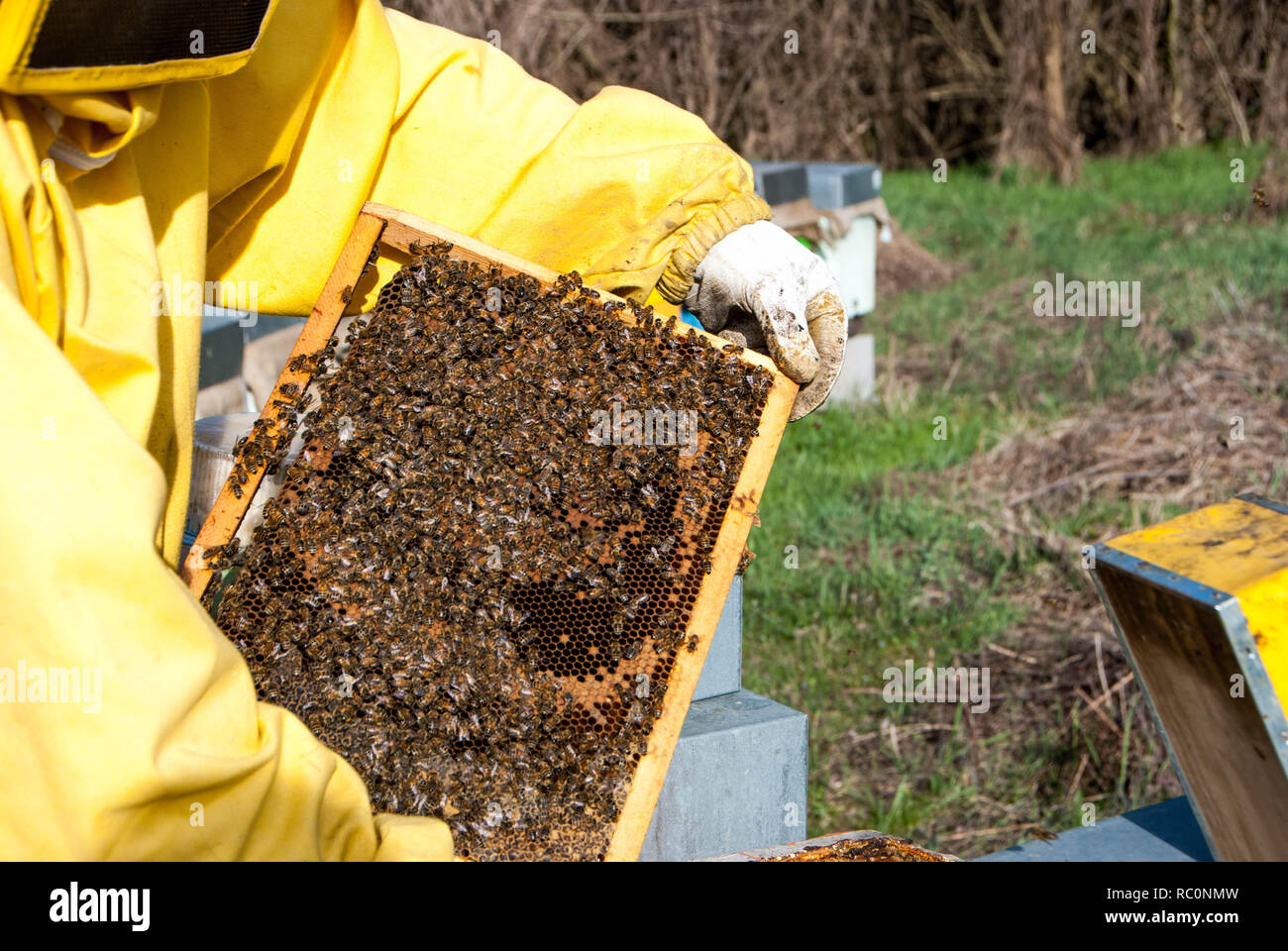 9Pcs Bees Keeping Starter Kits Smokers For Brush Honeys