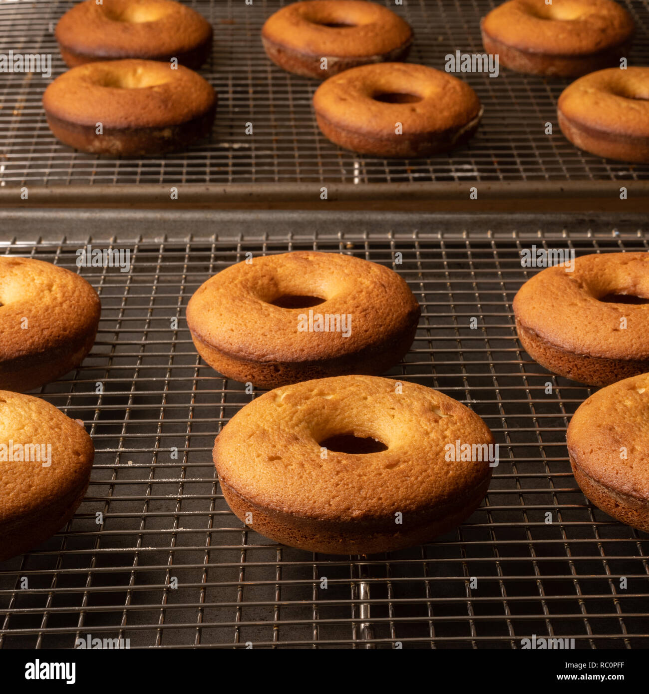 Closeup of homemade doughnuts Stock Photo