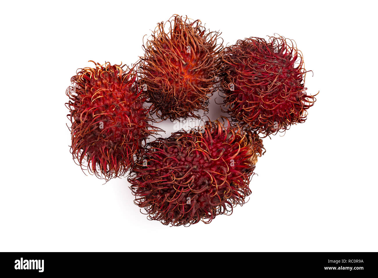 rambutan isolated on white background, Tropical fruit, copy space ...