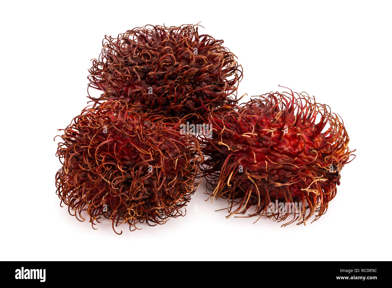 rambutan isolated on white background. Tropical fruit. Nephelium ...