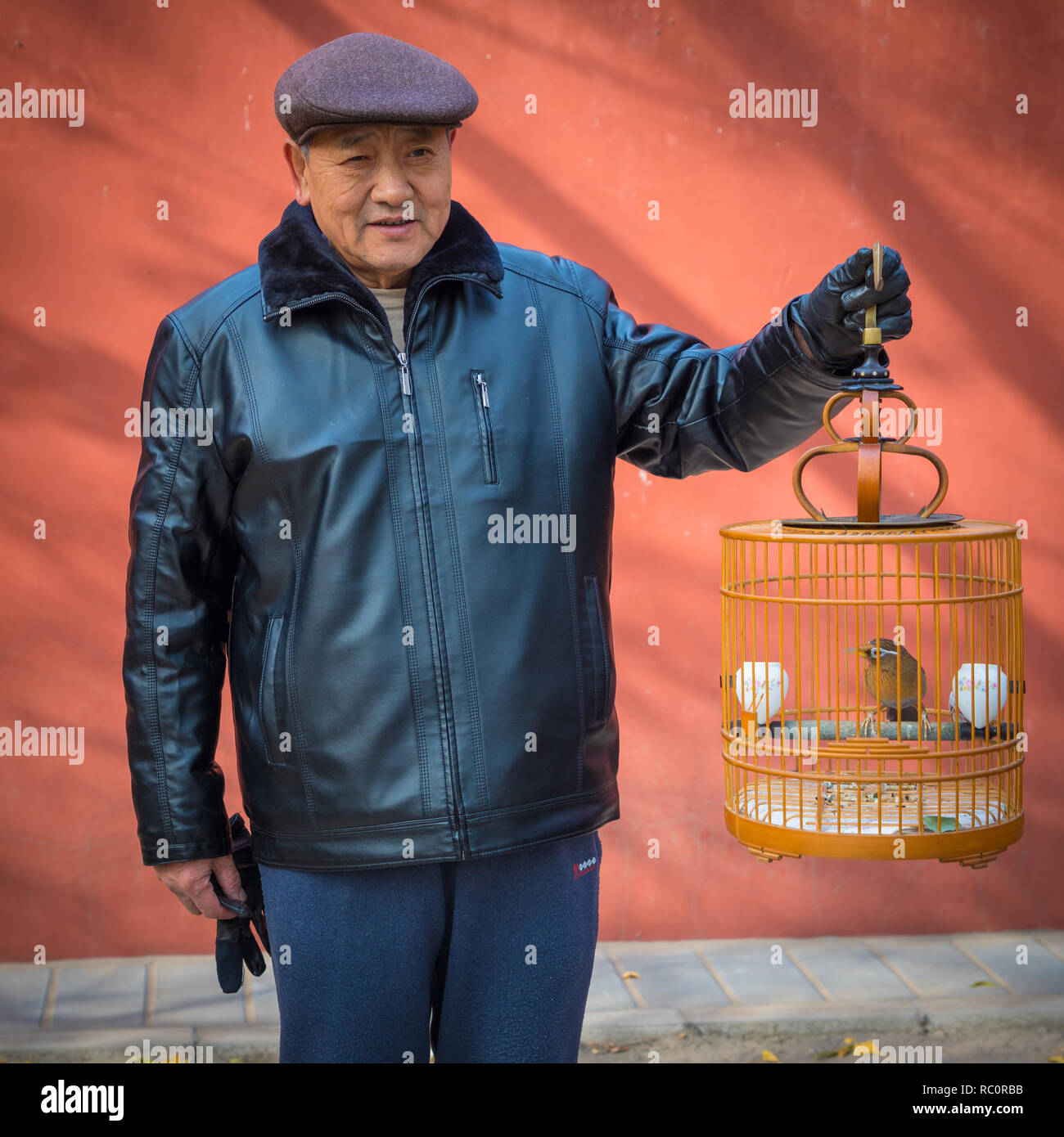 Man in Beijing, China carrying a cage with a pet bird. Stock Photo