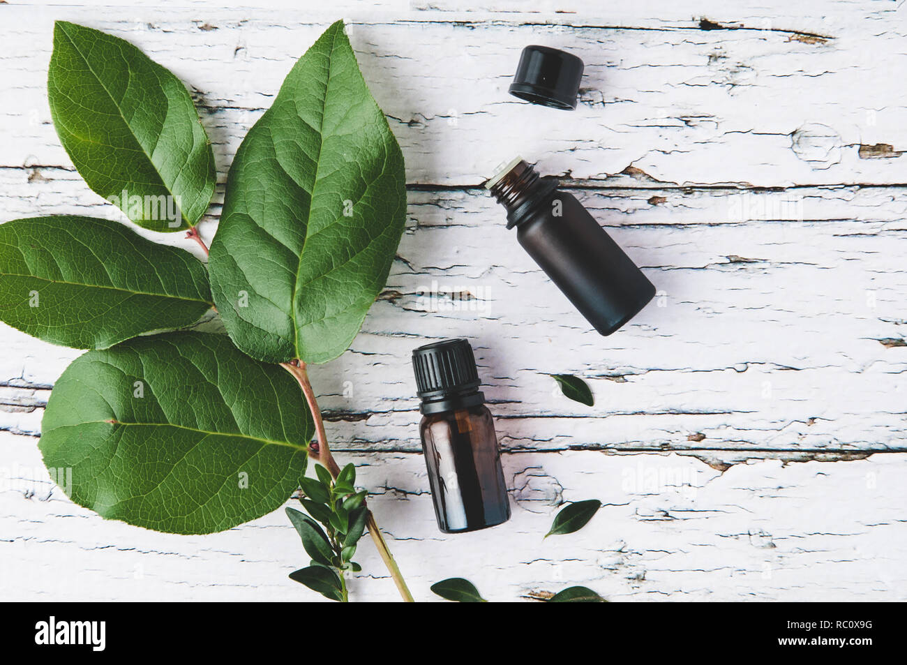 essential oils bottles with greenery on a white wooden background Stock Photo