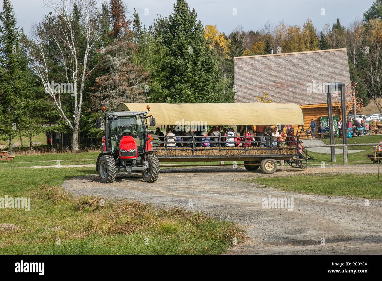 Omega park in Quebec, carriage with people starting tour round the park Stock Photo