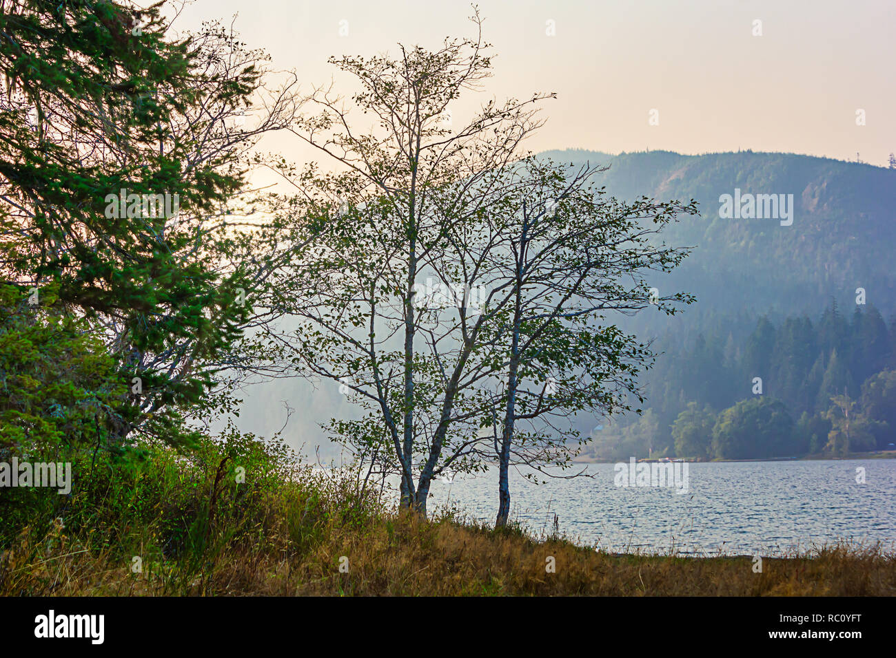 sunbeams and light shine down on mountain lake in washington state in summer season Stock Photo