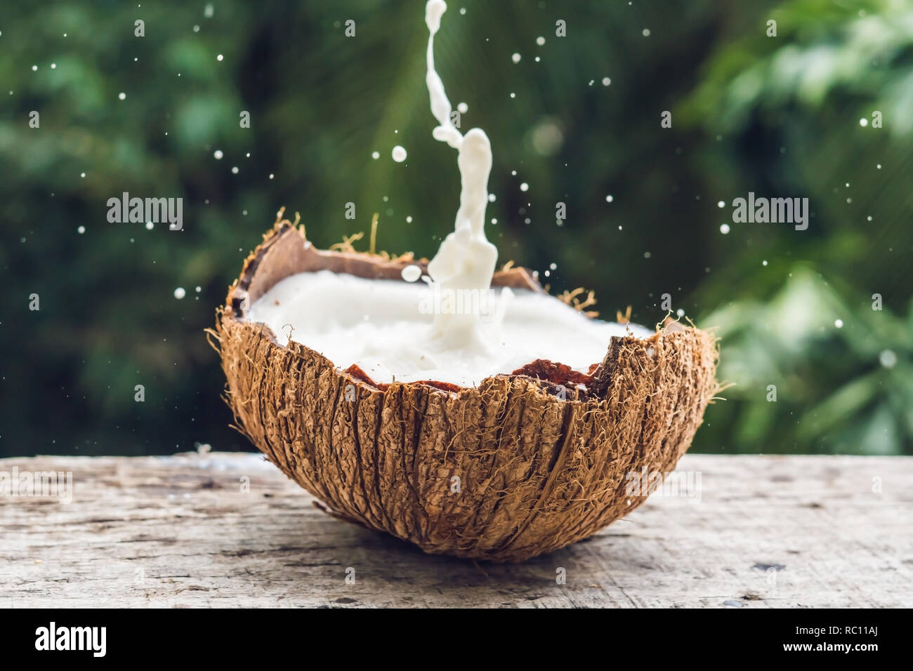 Coconut fruit and milk splash inside it on a background of a palm tree