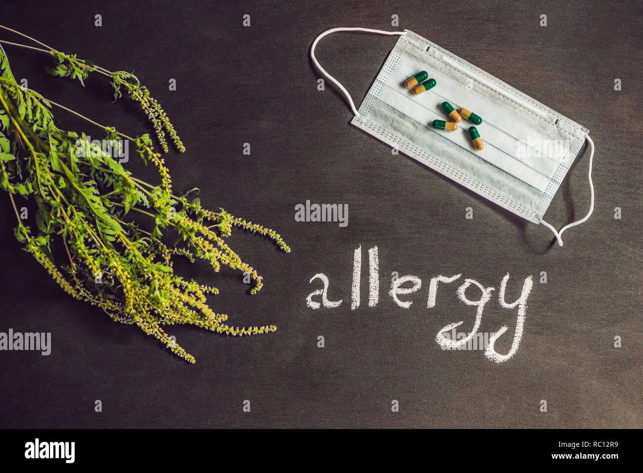 Ambrosia, medical mask, allergy tablets. Allergy to ambrosia concept