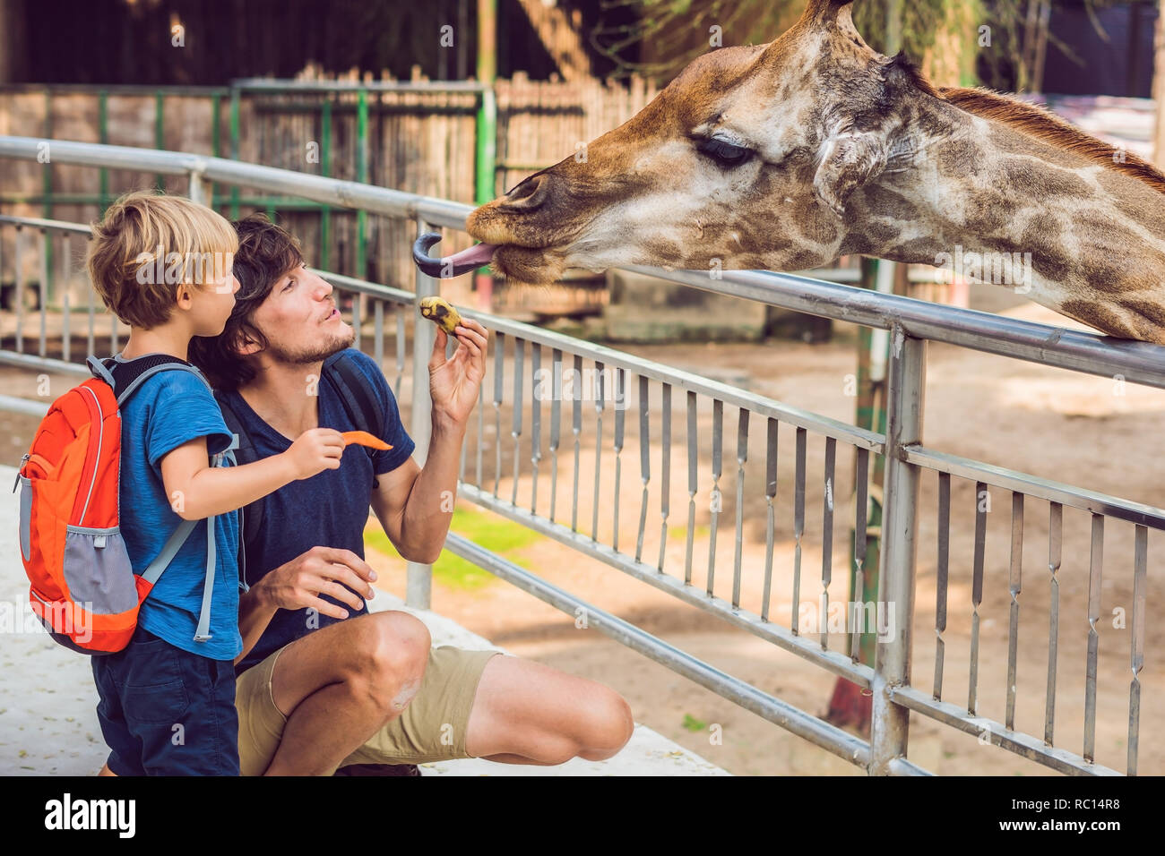 Father and son watching and feeding giraffe in zoo. Happy kid having ...