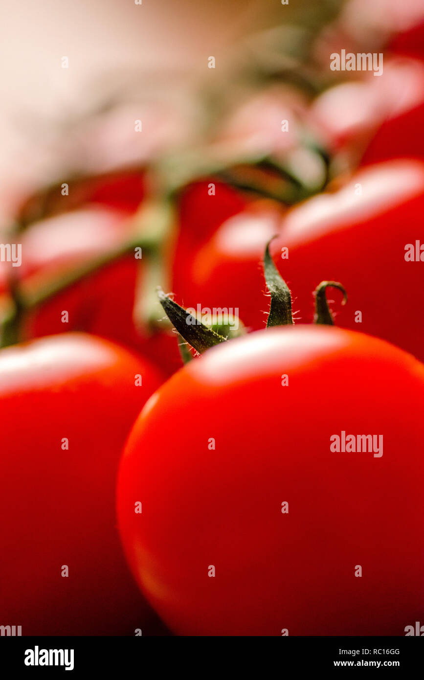 Fresh, ripe plump red truss tomatoes close up Stock Photo - Alamy