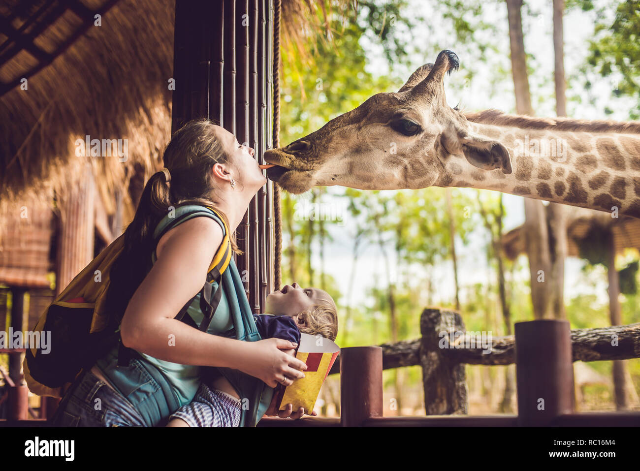 Happy mother and son watching and feeding giraffe in zoo. Happy family having fun with animals safari park on warm summer day Stock Photo