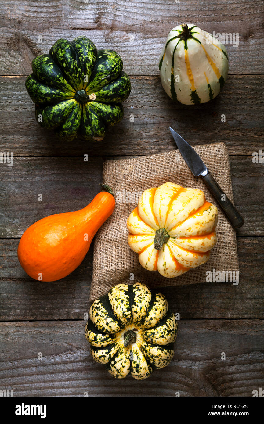 verschiedener Kürbis auf Holzuntergrund Stock Photo