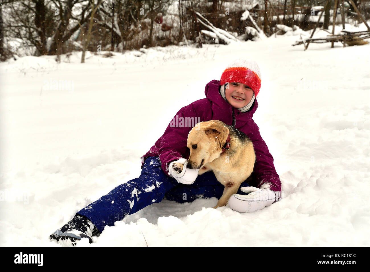 Woman sled dog kiss hires stock photography and images Alamy