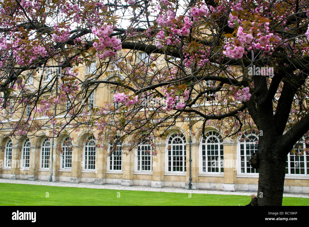Westminster abbey gardens hires stock photography and images Alamy