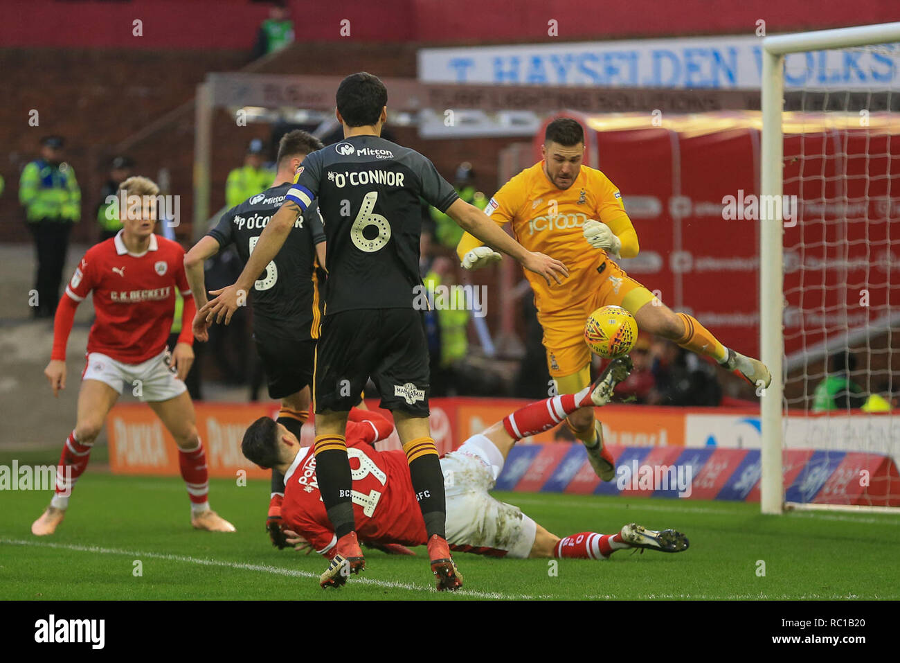 Barnsley, UK. 12th Jan, 2019. 12th January 2019, Oakwell, Barnsley, England; Sky Bet League One, Barnsley vs Bradford City ; Richard O'Donnell (01) of Bradford City saves Kieffer Moore (19) of Barnsley's effort on goal Credit: Mark Cosgrove/News Images English Football League images are subject to DataCo Licence Credit: News Images /Alamy Live News Stock Photo
