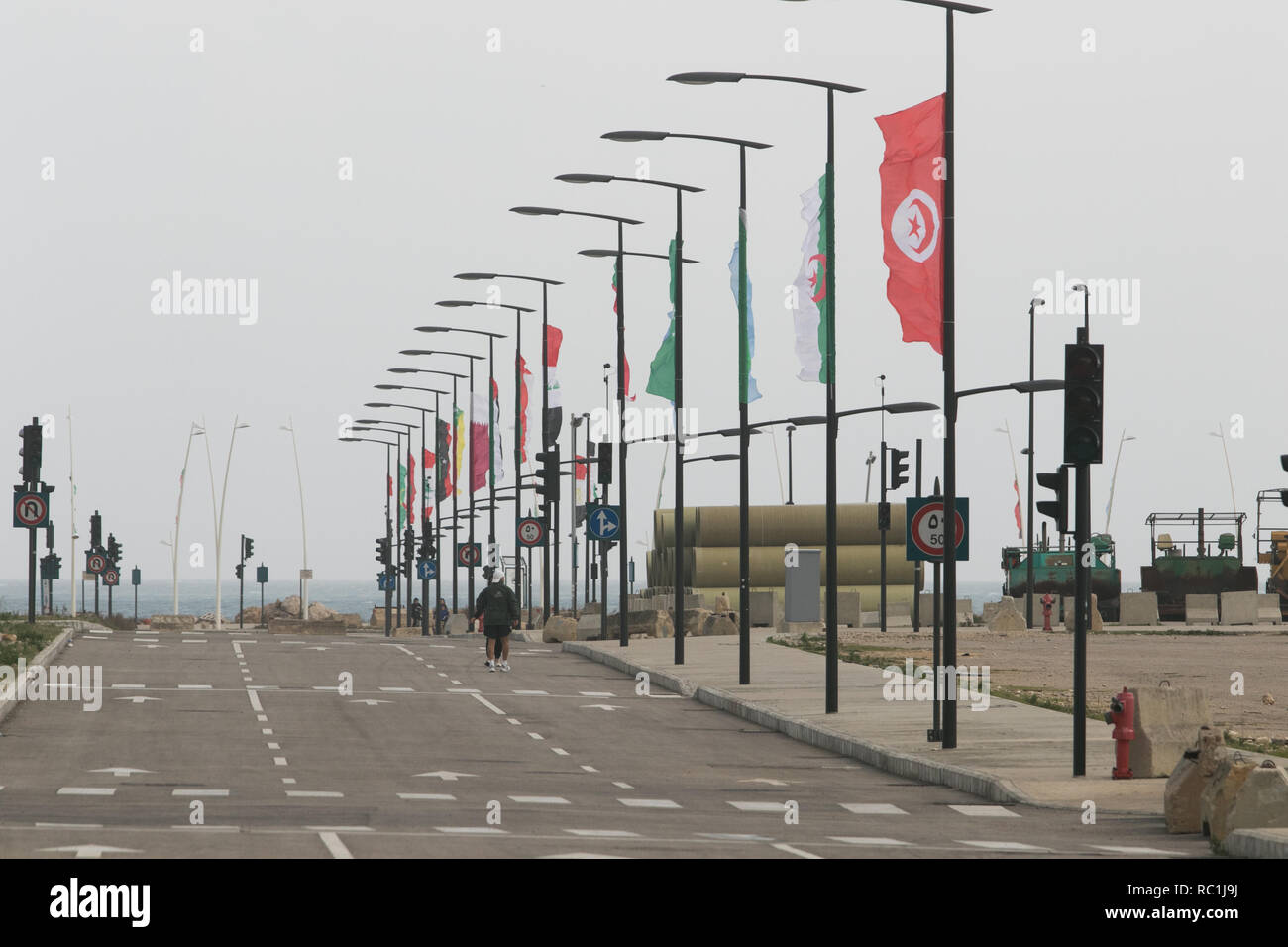 Beirut Lebanon. 13th January 2019. The national flags of Arab nations are displayed as  Beirut prepares to  host the  Arab Economic and Social Development Summit organized by the Arab League  which is scheduled to take place on Jan. 19 to 20  and is concerned primarily with developmental issues in the Arab world Credit: amer ghazzal/Alamy Live News Stock Photo