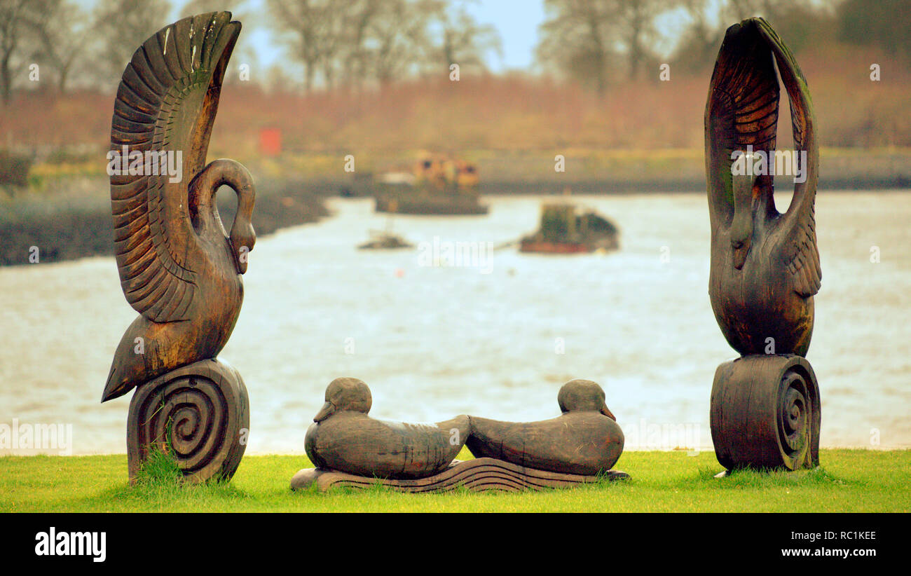 Bowling Harbour, Glasgow, Scotland, UK, 13th January, 2019. UK Weather: wet and windy at the wooden swan sculpture at graving dock the graveyard for boats in bowling harbour at the end of the  the Forth and Clyde canal on a choppy Clyde estuary  Credit Gerard Ferry/Alamy Live News Stock Photo