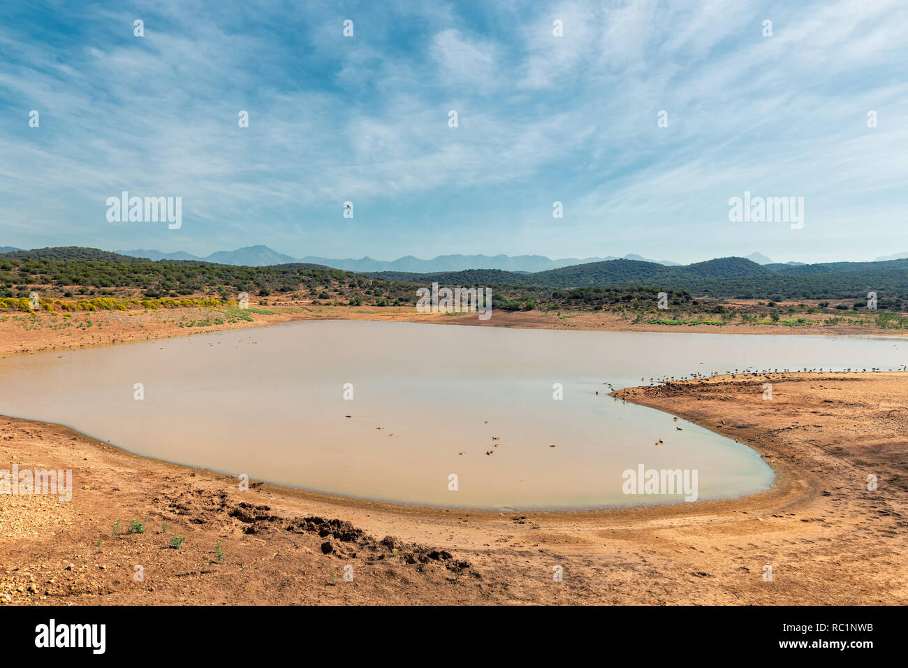 Small lake view hi-res stock photography and images - Alamy