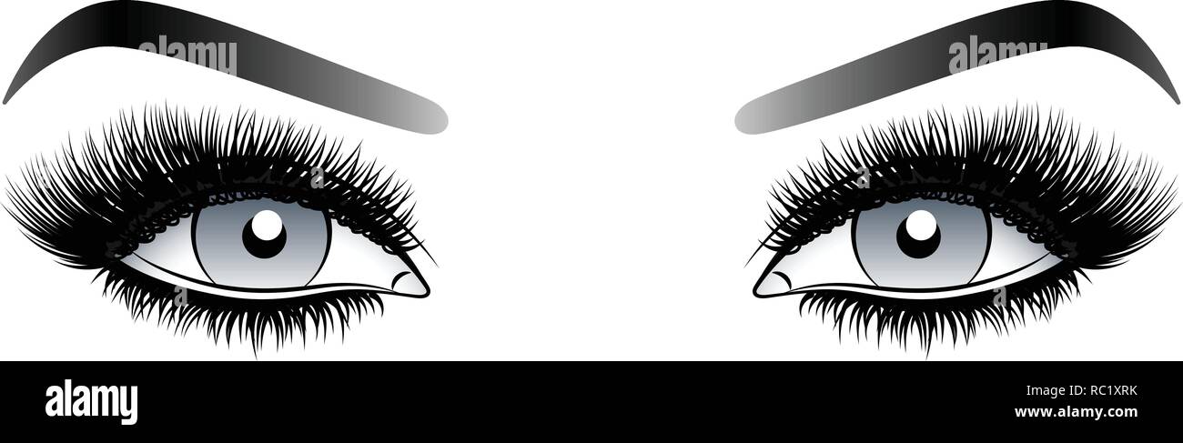 Gray woman eyes with long false lashes with eyebrows. Stock Vector
