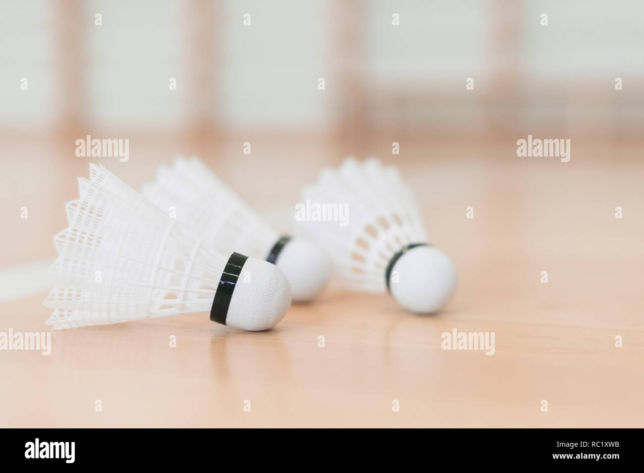 Badminton shuttlecocks placed on wooden floor Stock Photo