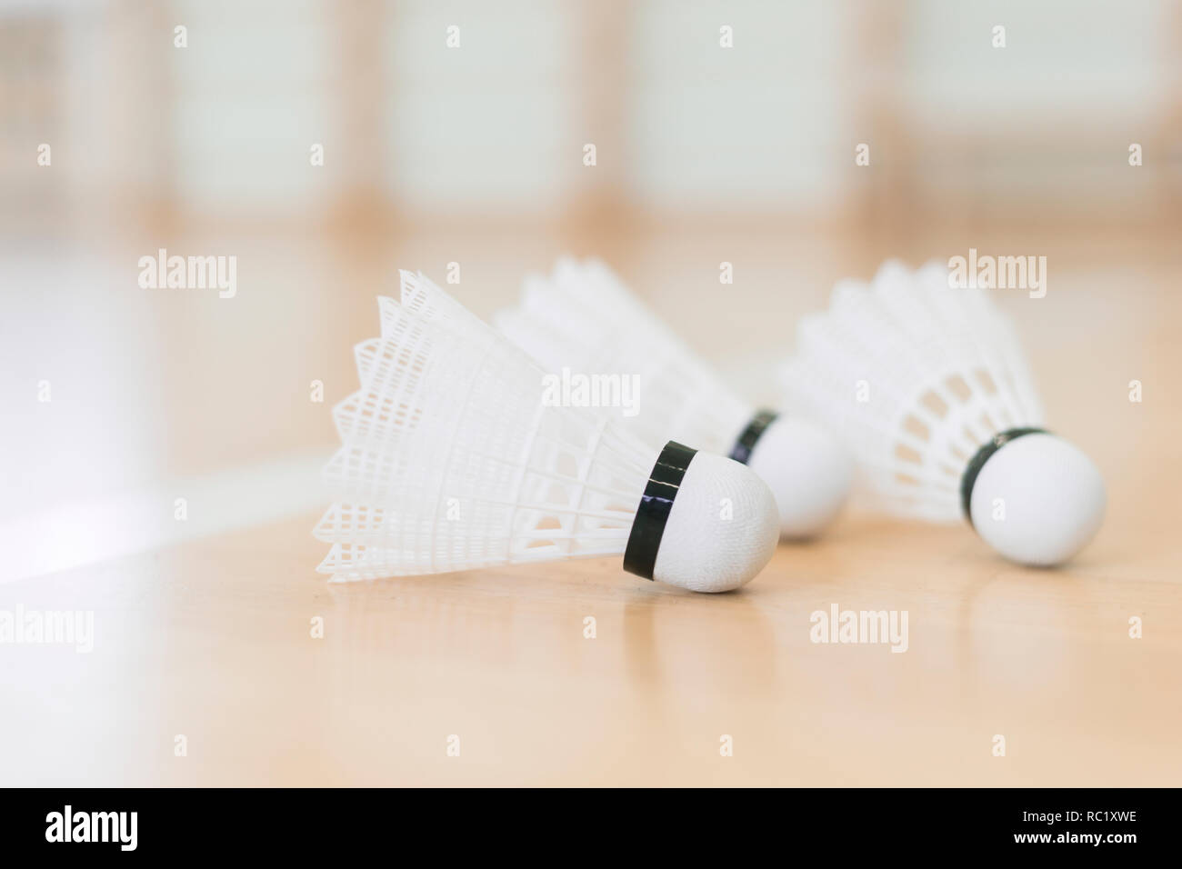 Badminton shuttlecocks placed on wooden floor Stock Photo