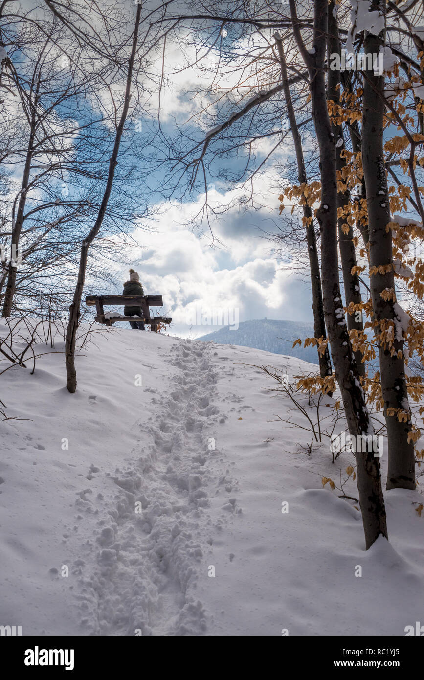 Peace woman forest winter hi-res stock photography and images - Alamy