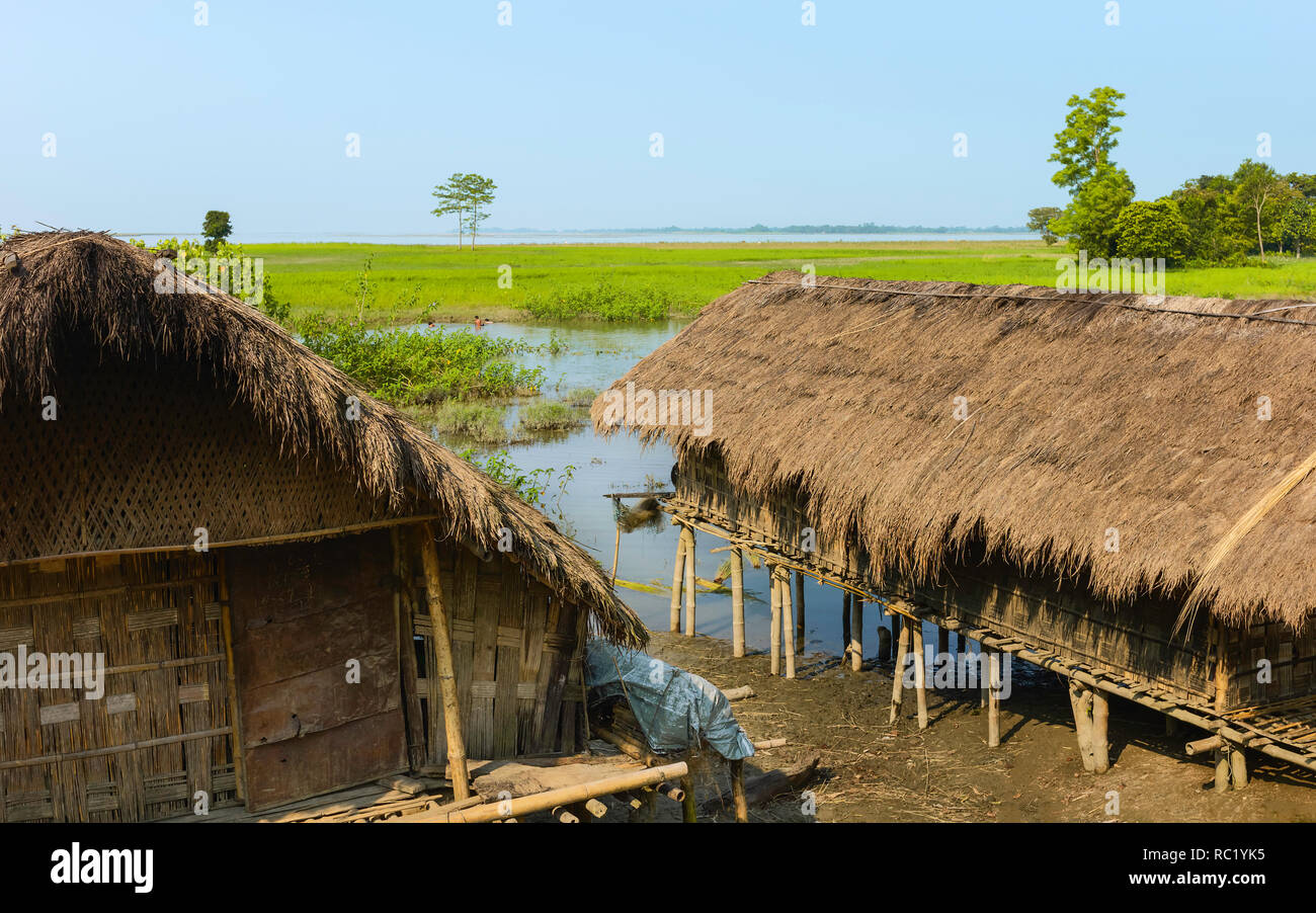 Traditional bamboo long houses on stiles facing paddy fields and Brahmaputra rive on horizon under blue sky in summer, Majuli, Assam, India. Stock Photo